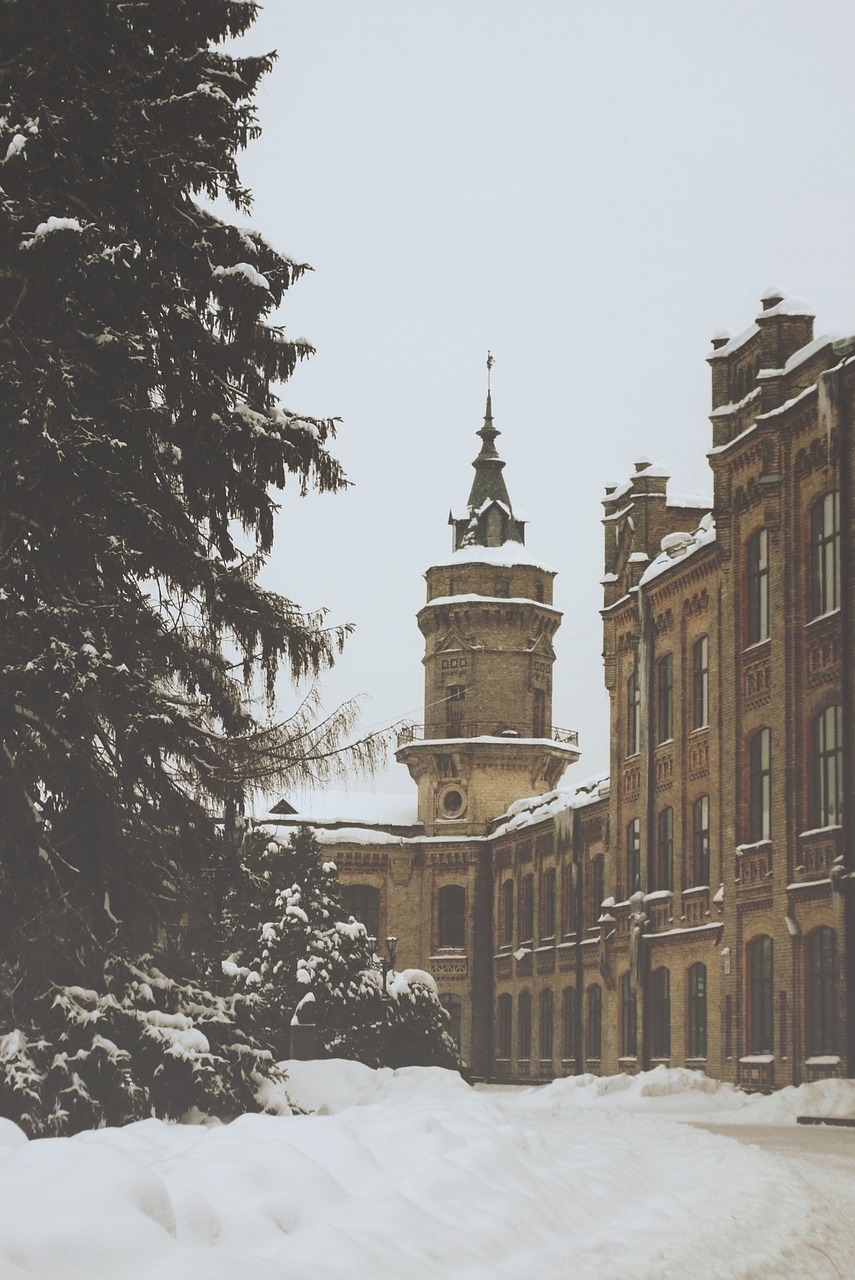 winter snow trees free photo