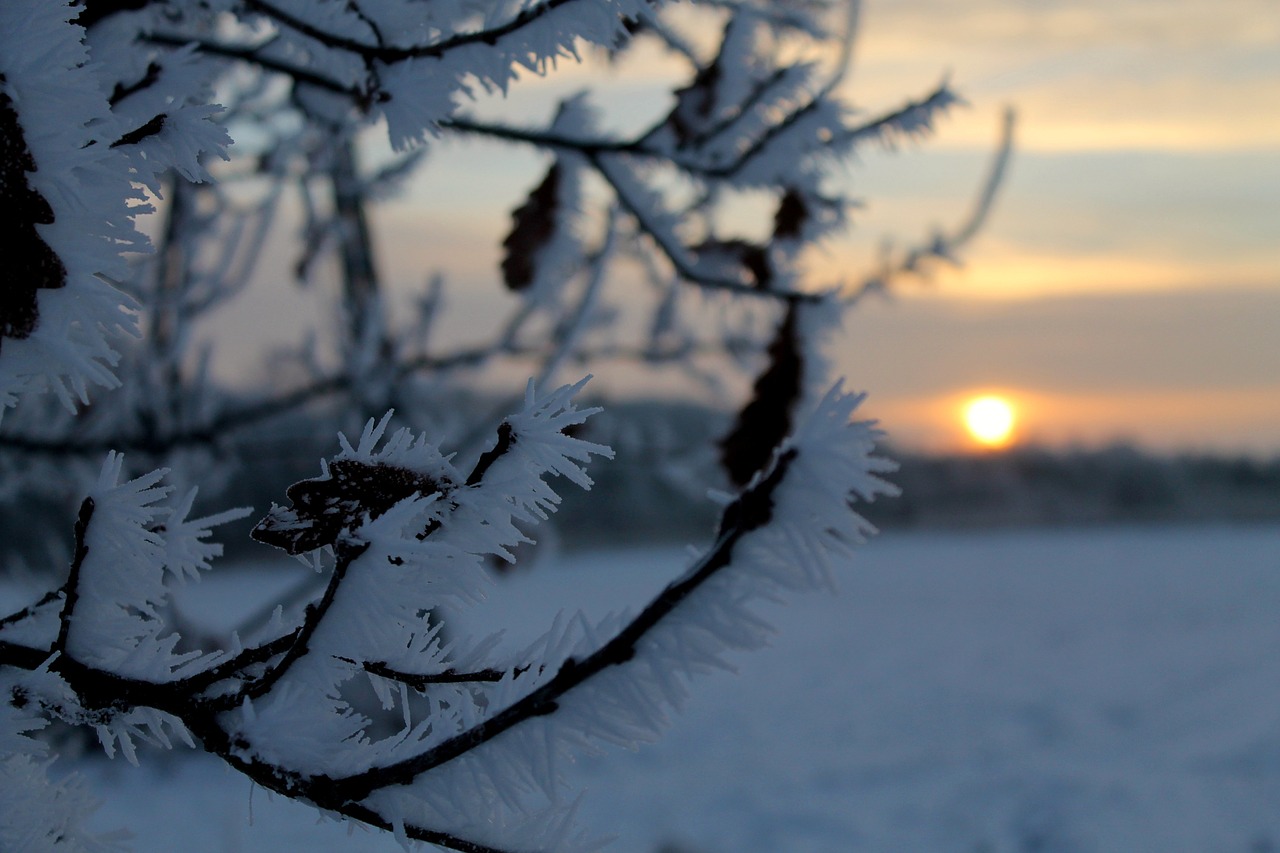 winter morning sunrise free photo