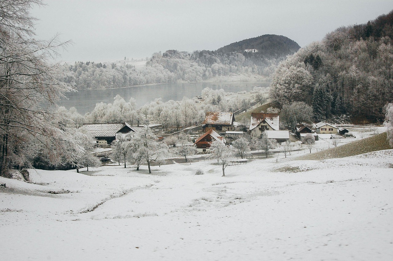 winter home snow free photo