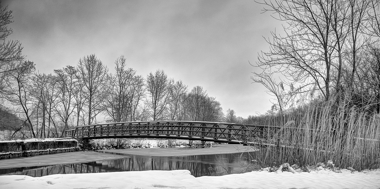 winter bridge cold free photo