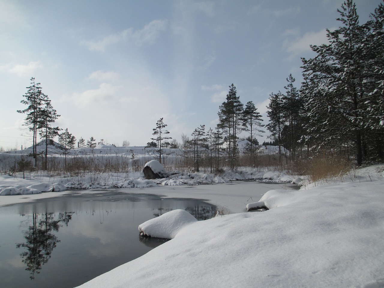 winter nature snow free photo