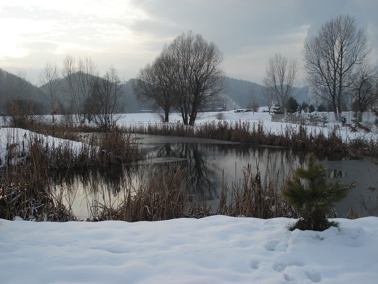 winter lake nature free photo