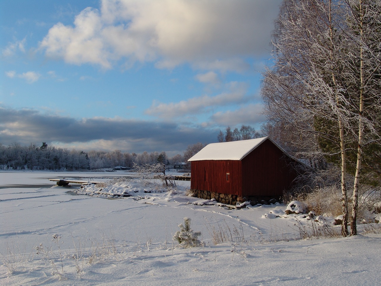 winter snow snow landscape free photo