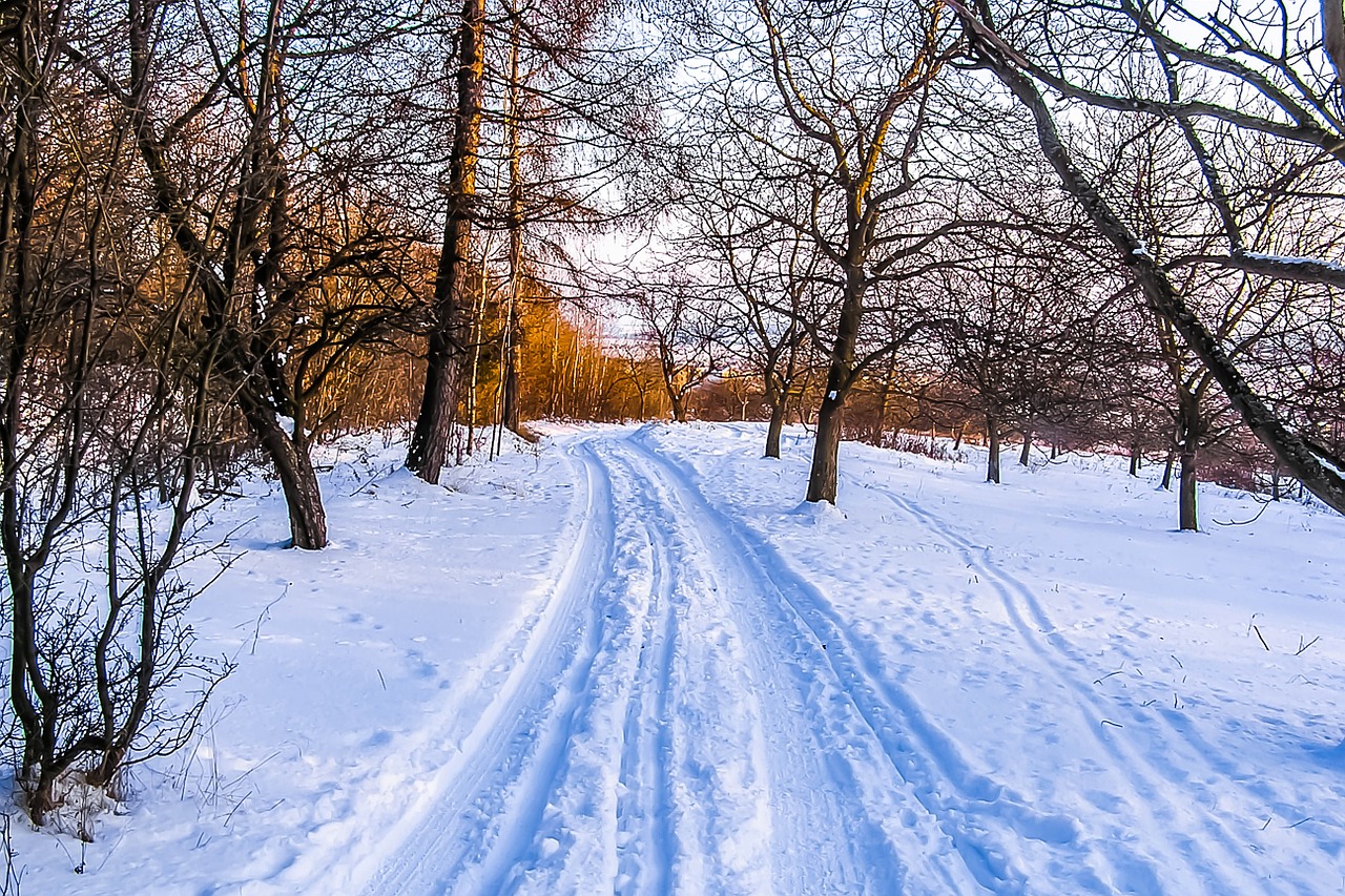 winter path country free photo