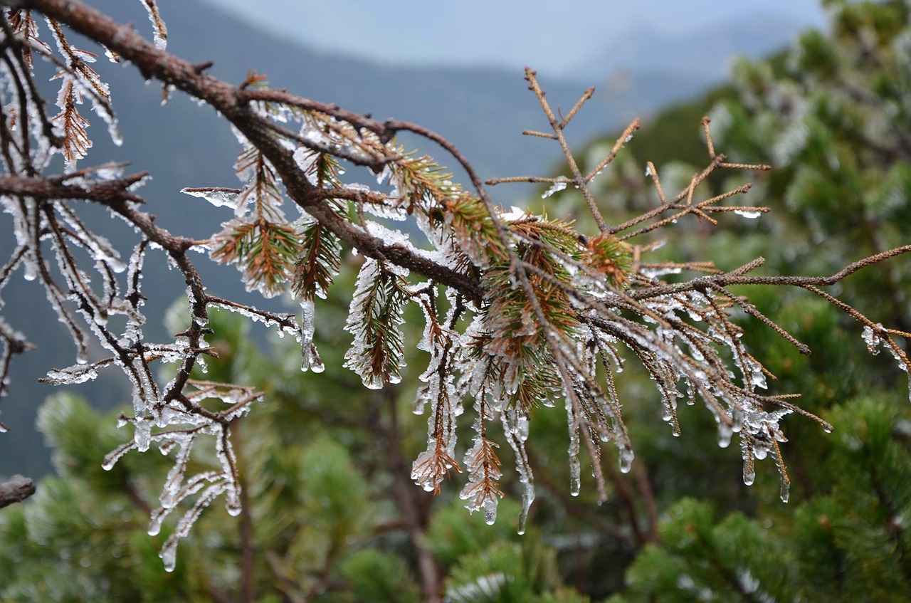 winter mountains view free photo