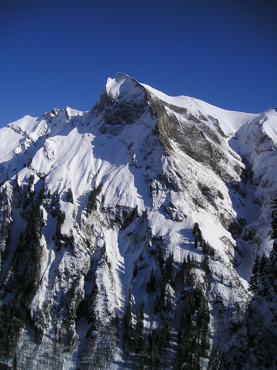 winter alpinism bergsport free photo