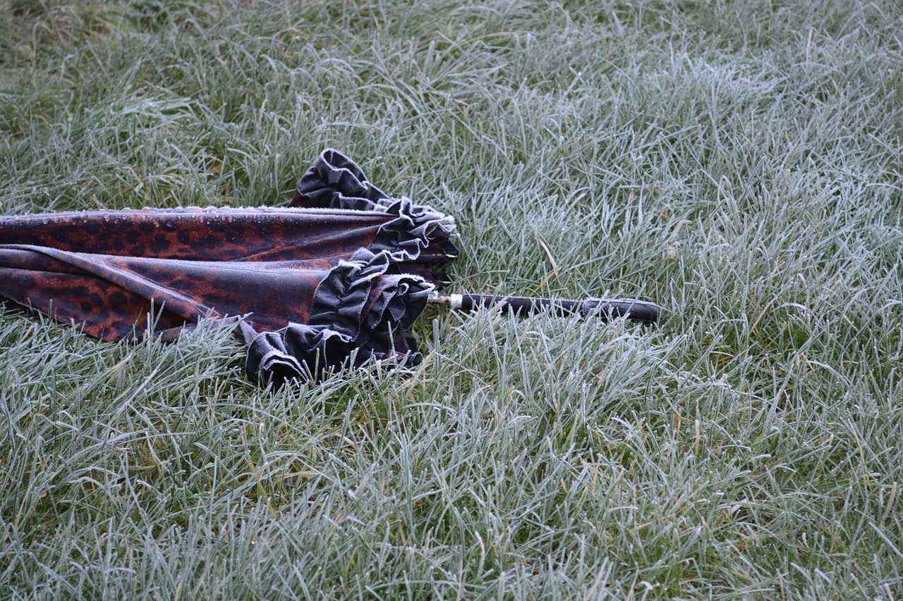 winter umbrella frost free photo