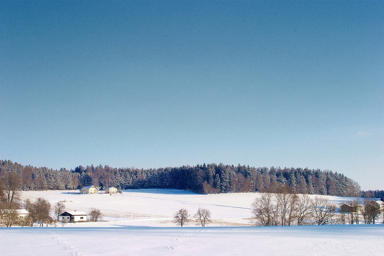 winter landscape panorama free photo