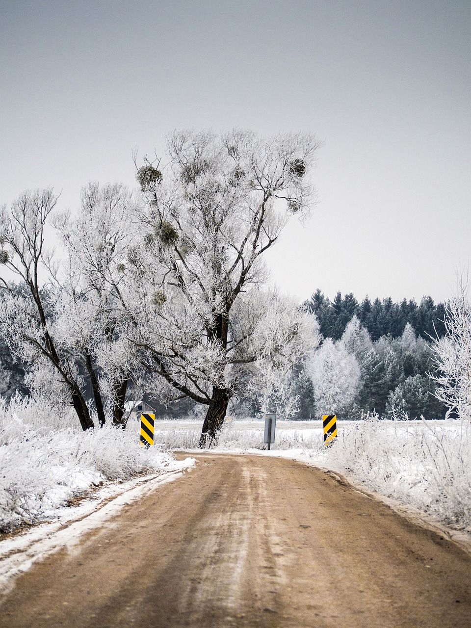 winter dirt road free photo