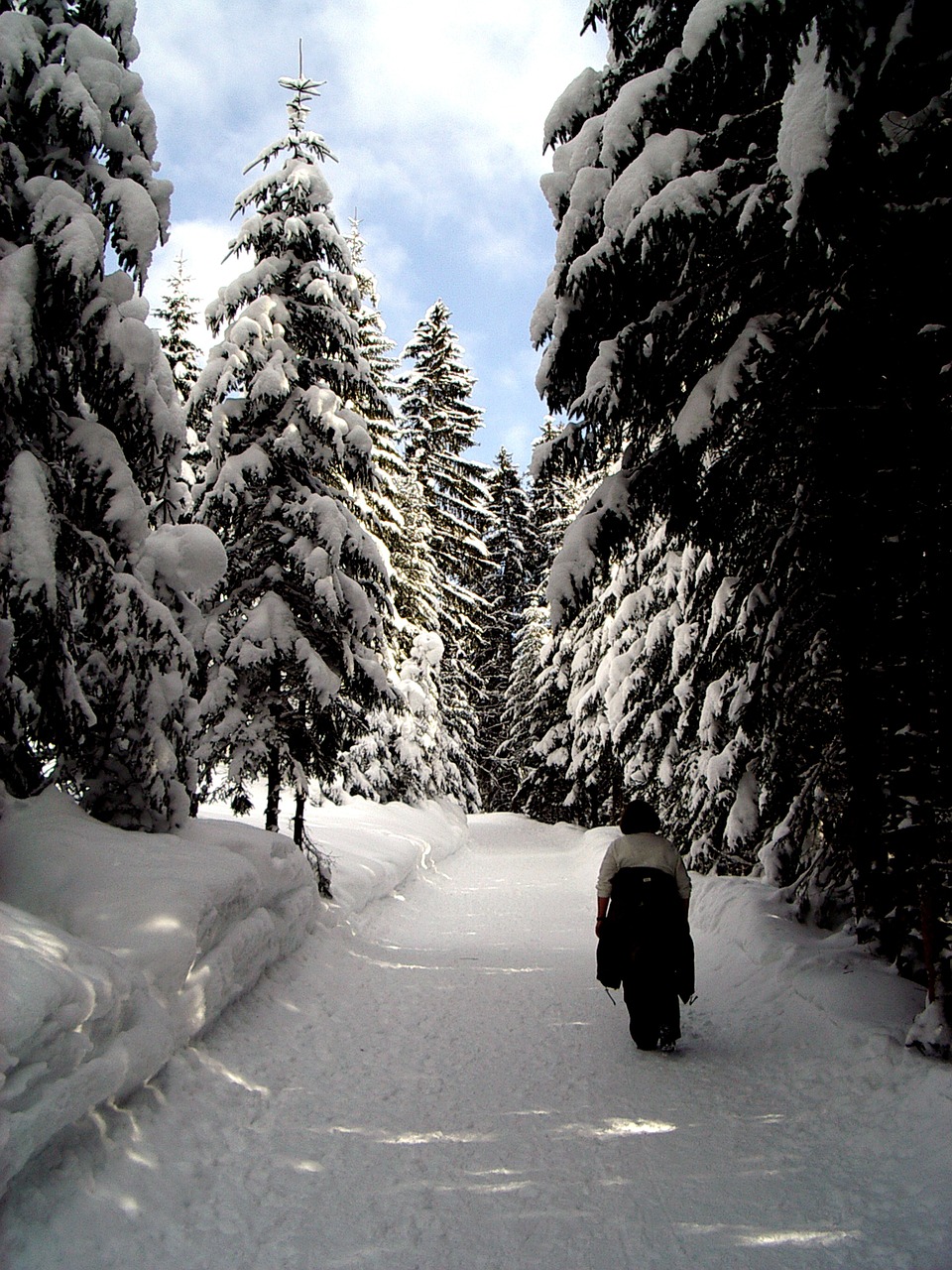 winter hiking snow free photo