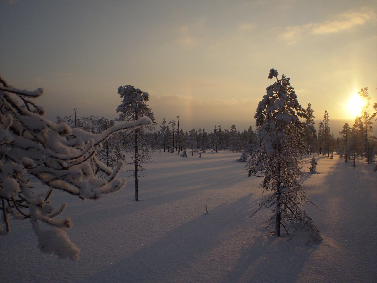 winter myr solar free photo