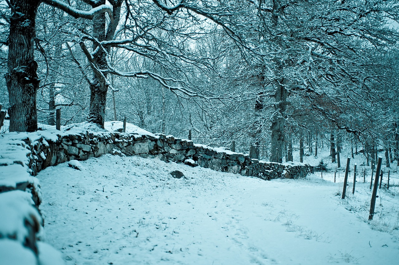 winter the garden farm snow free photo