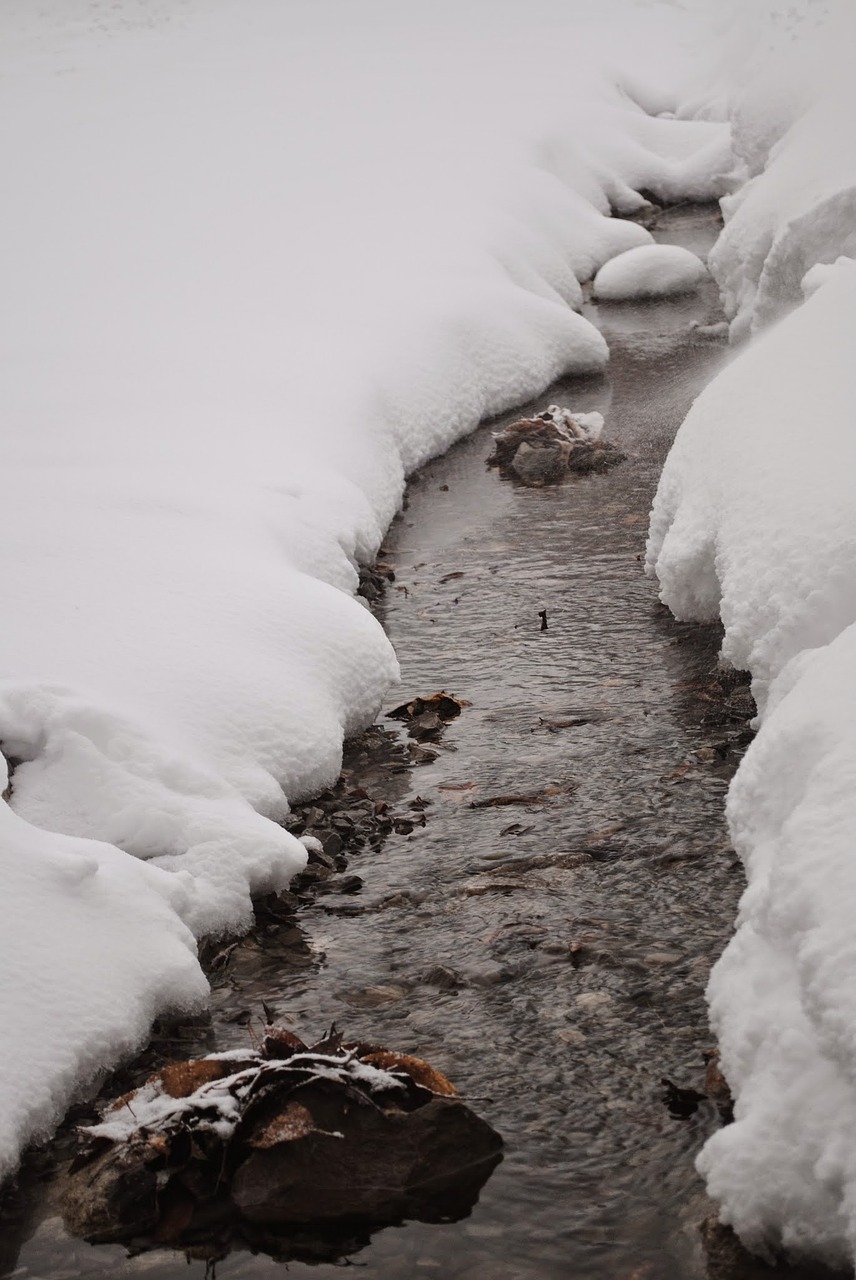 winter water snow free photo