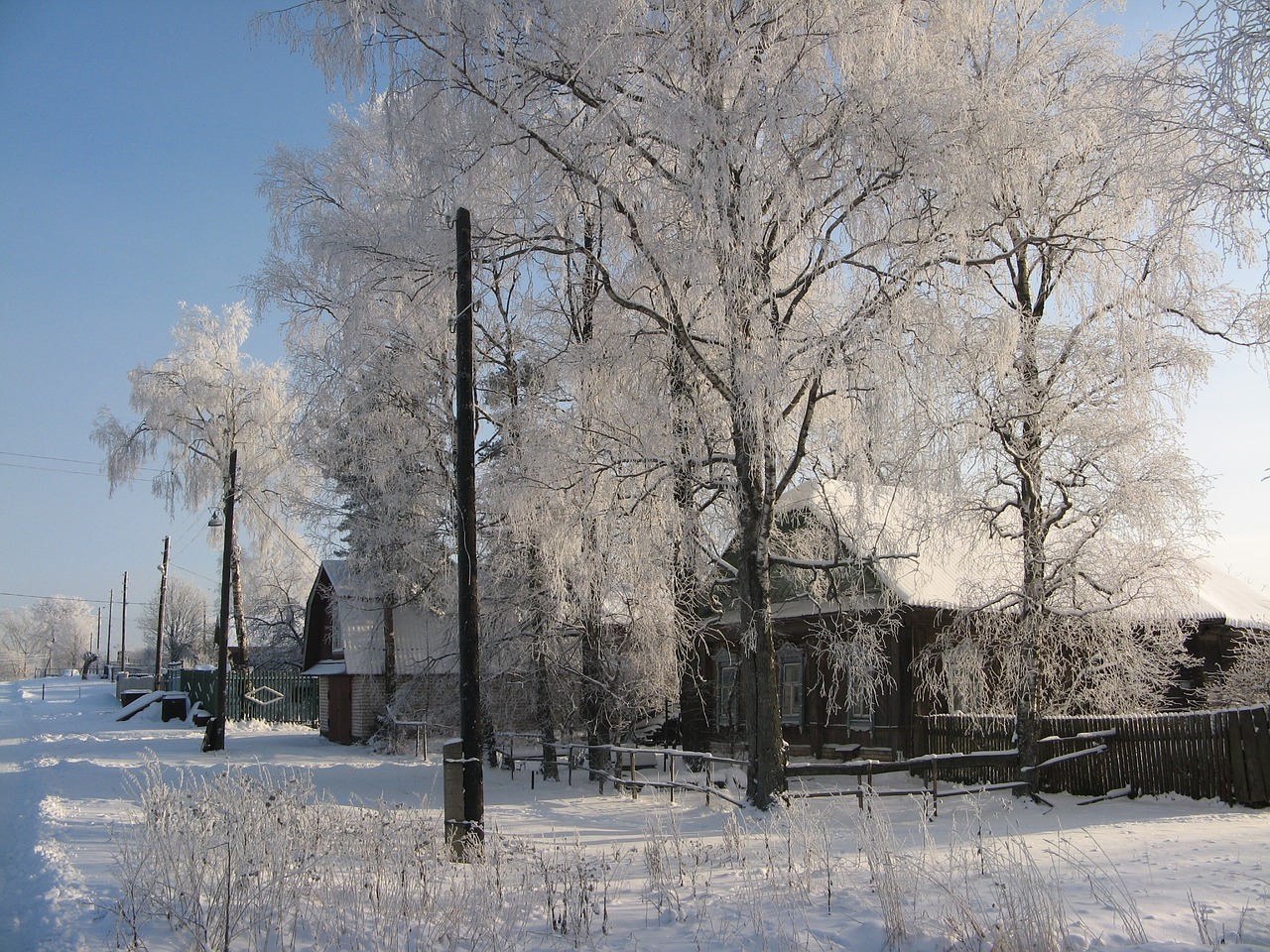 winter village snow free photo