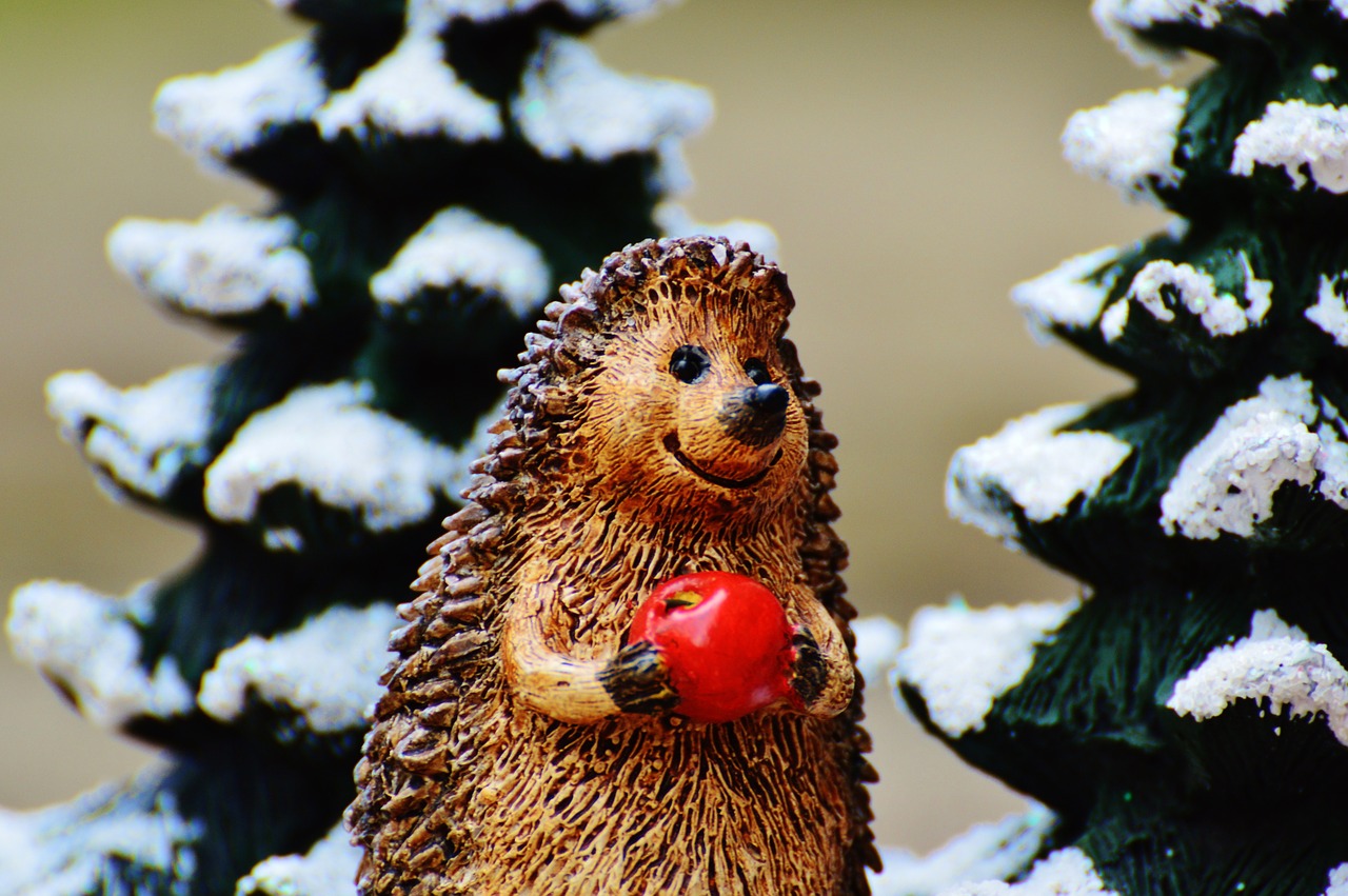 winter hedgehog apple free photo