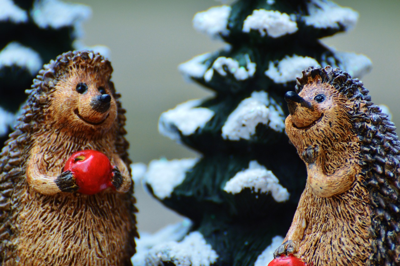 winter hedgehog apple free photo