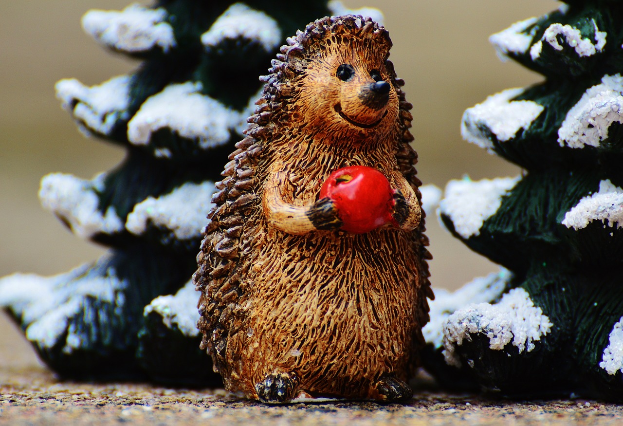 winter hedgehog apple free photo