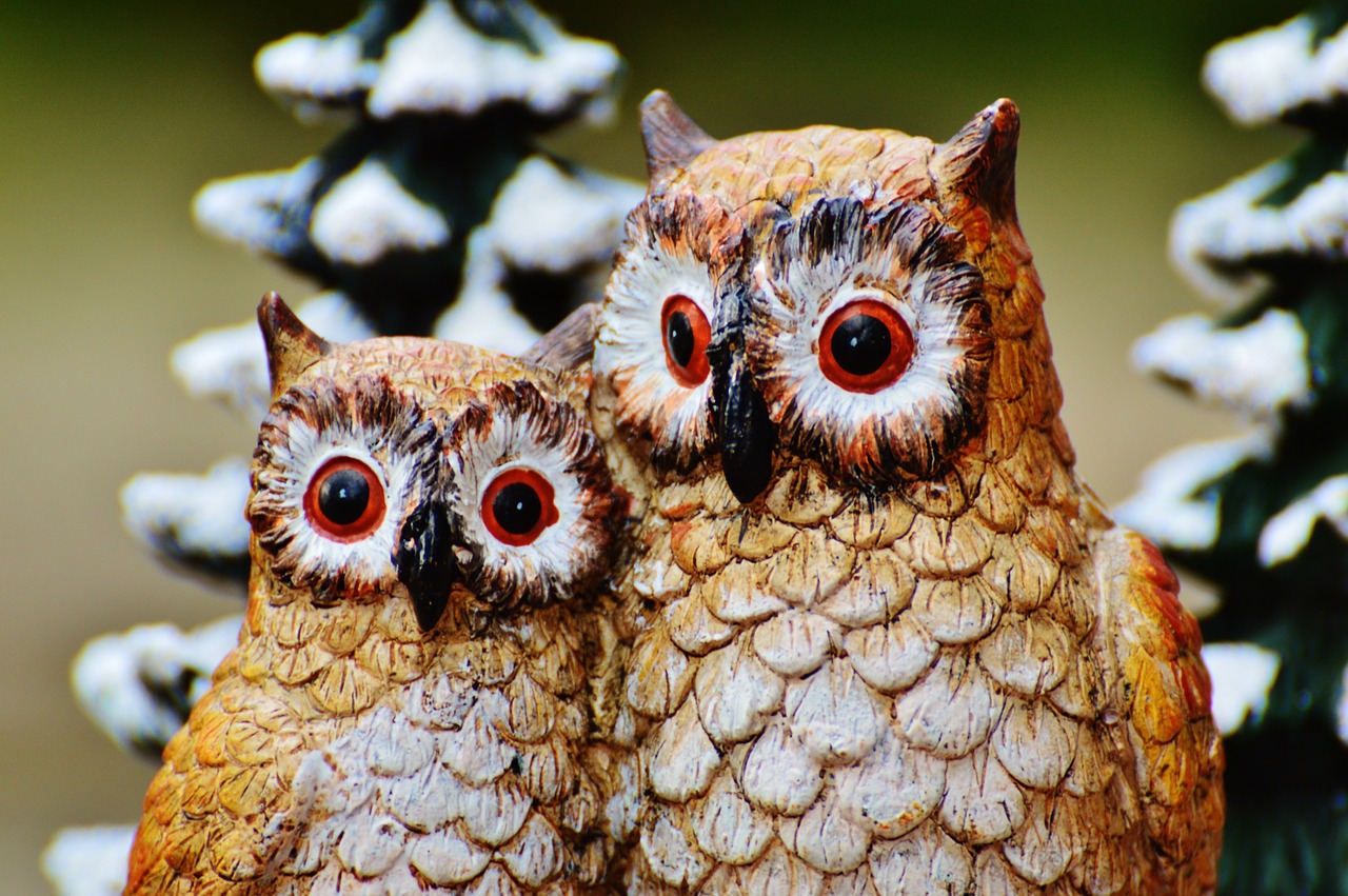 winter owls cute free photo