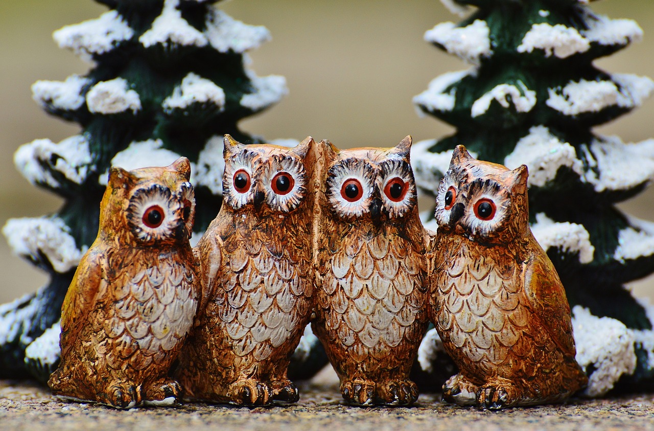 winter owls cute free photo