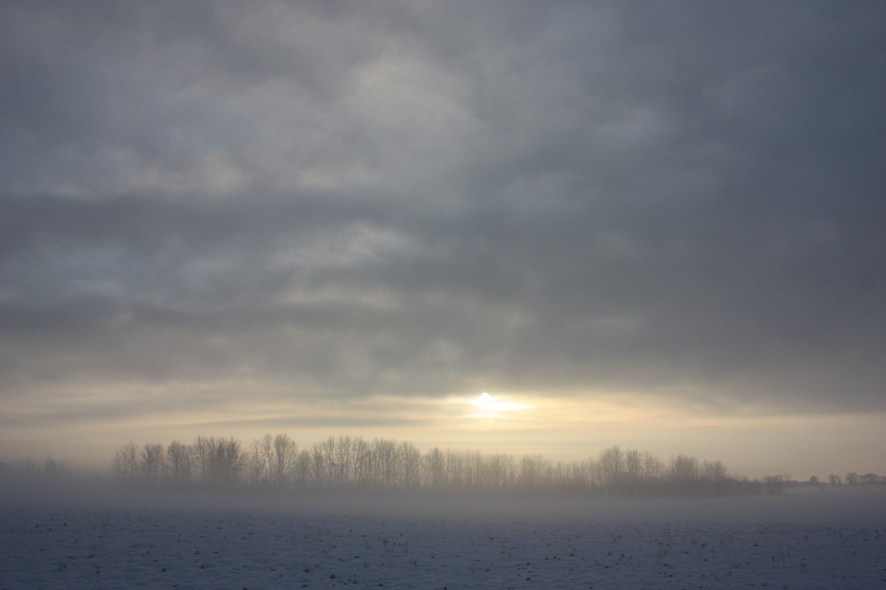 winter snow nature free photo