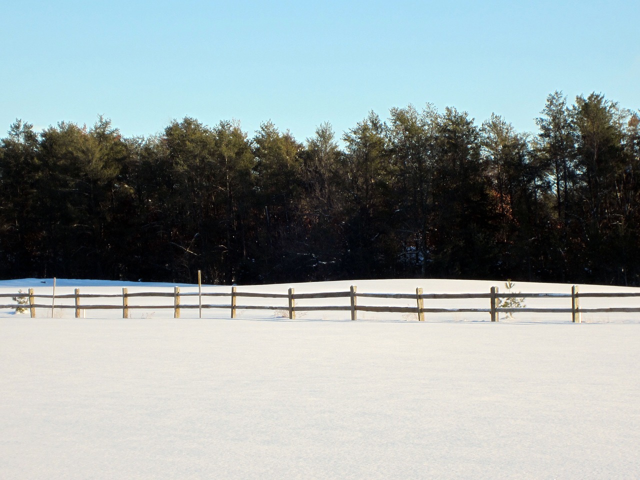 winter field fence free photo