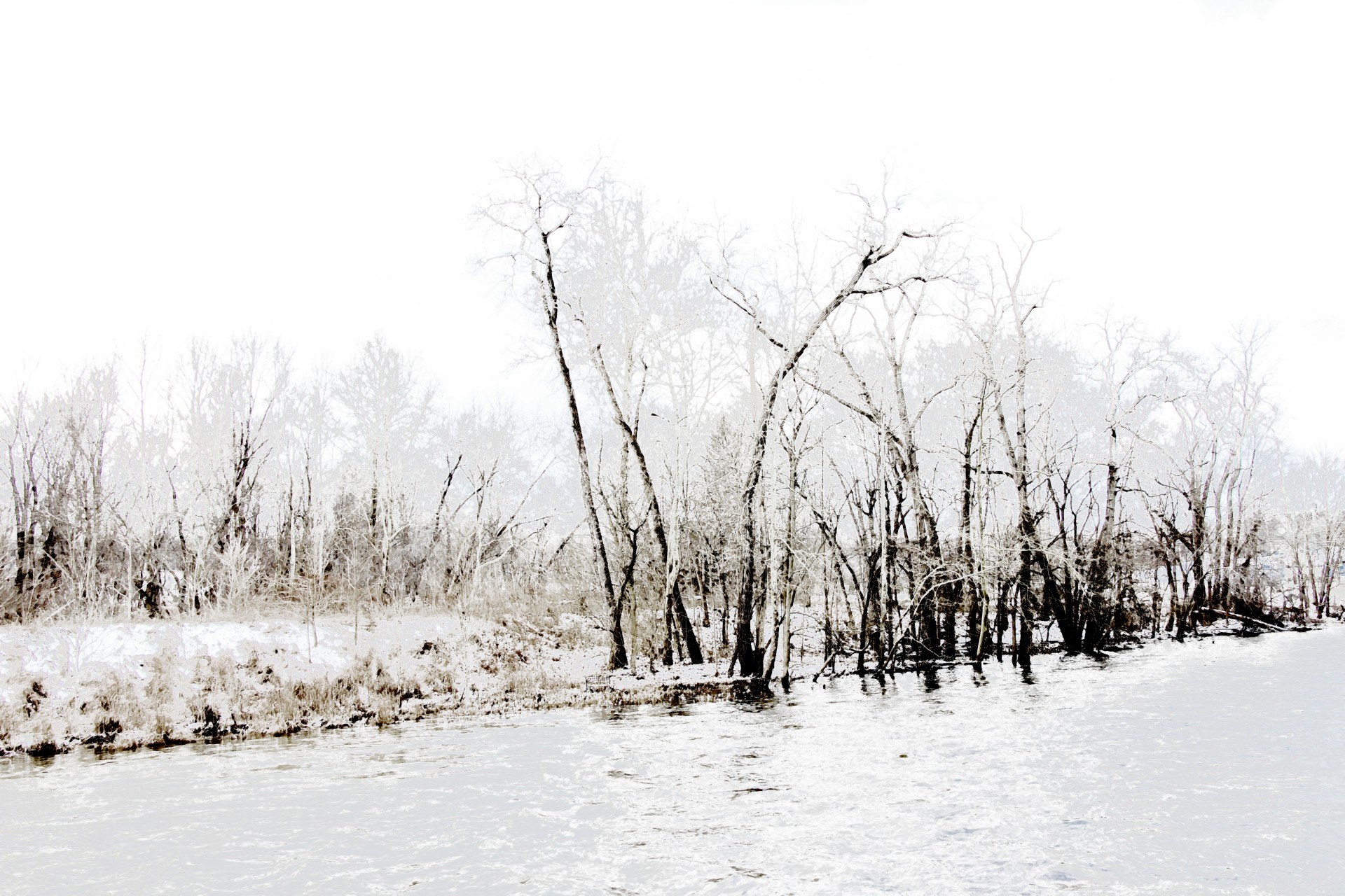 winter background snow free photo