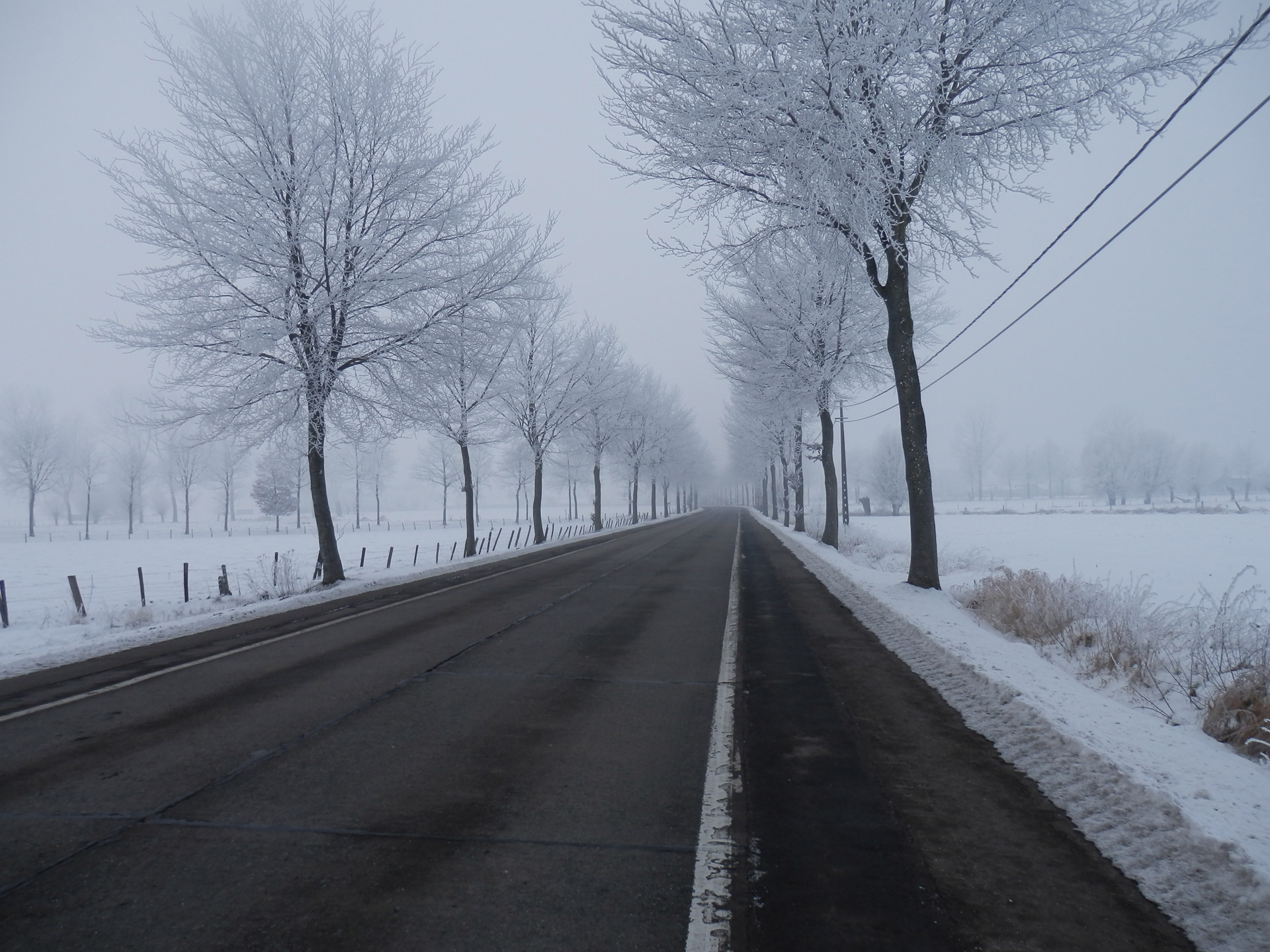 winter snow road free photo