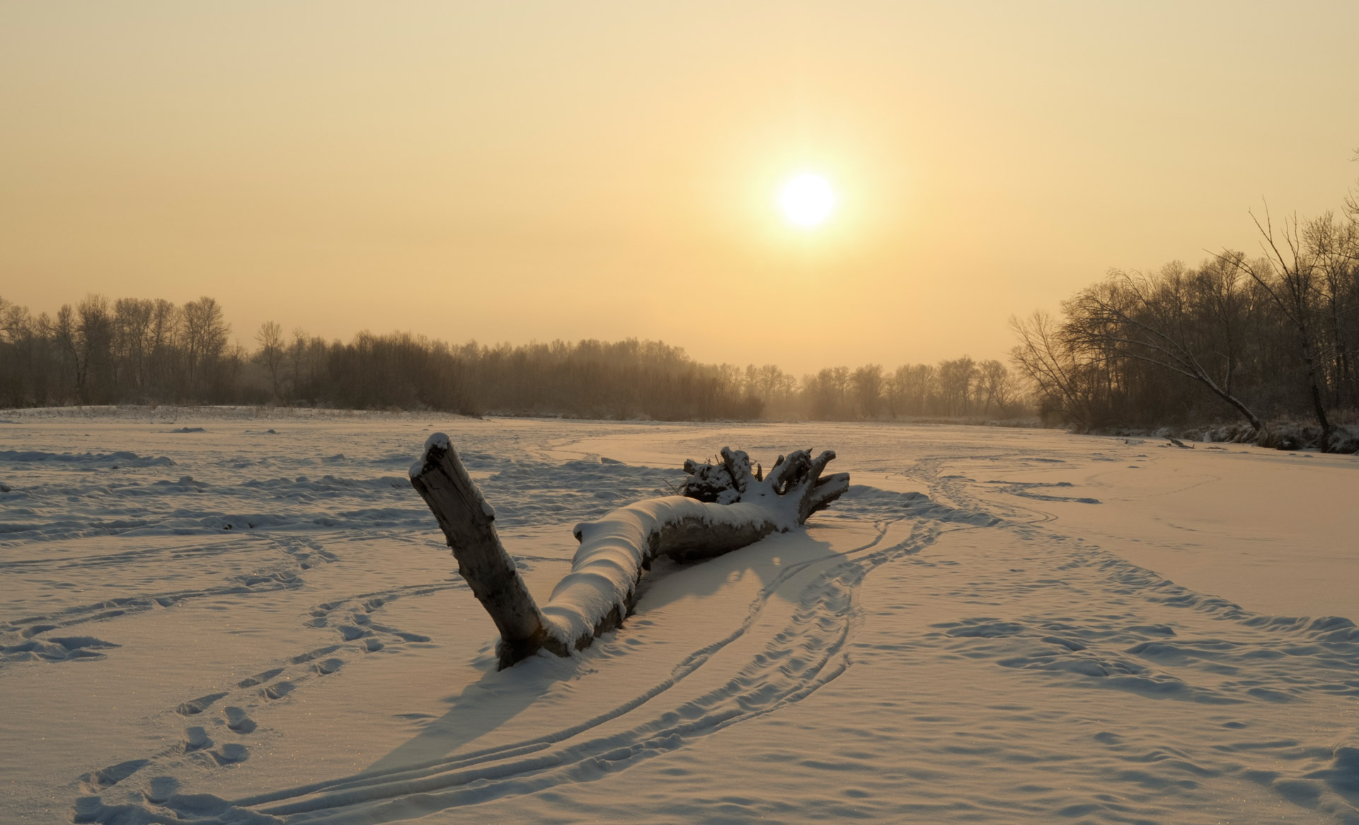 sunset winter snow free photo