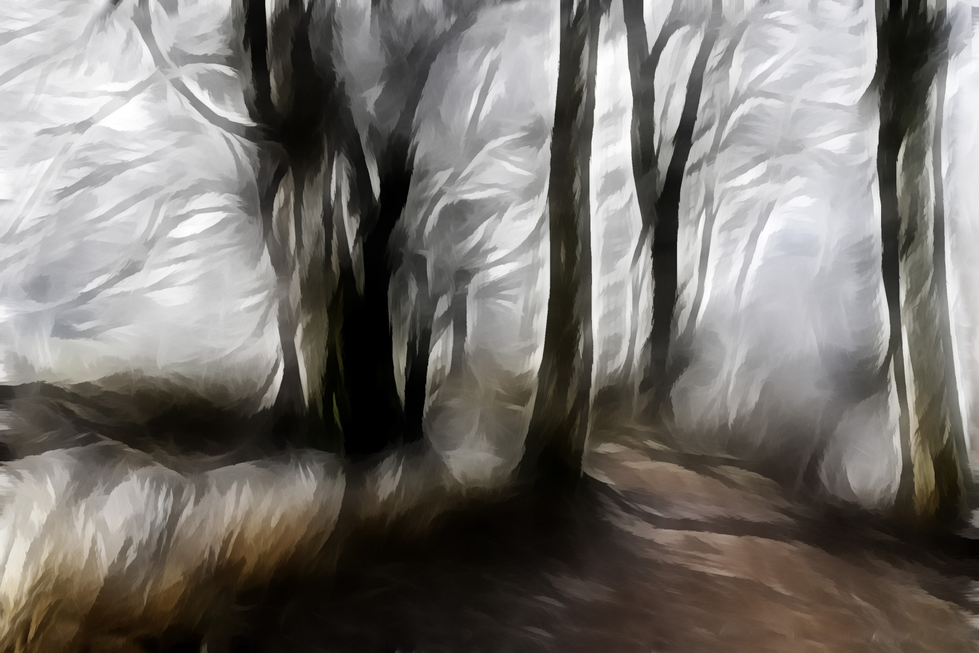 winter forest artistic free photo