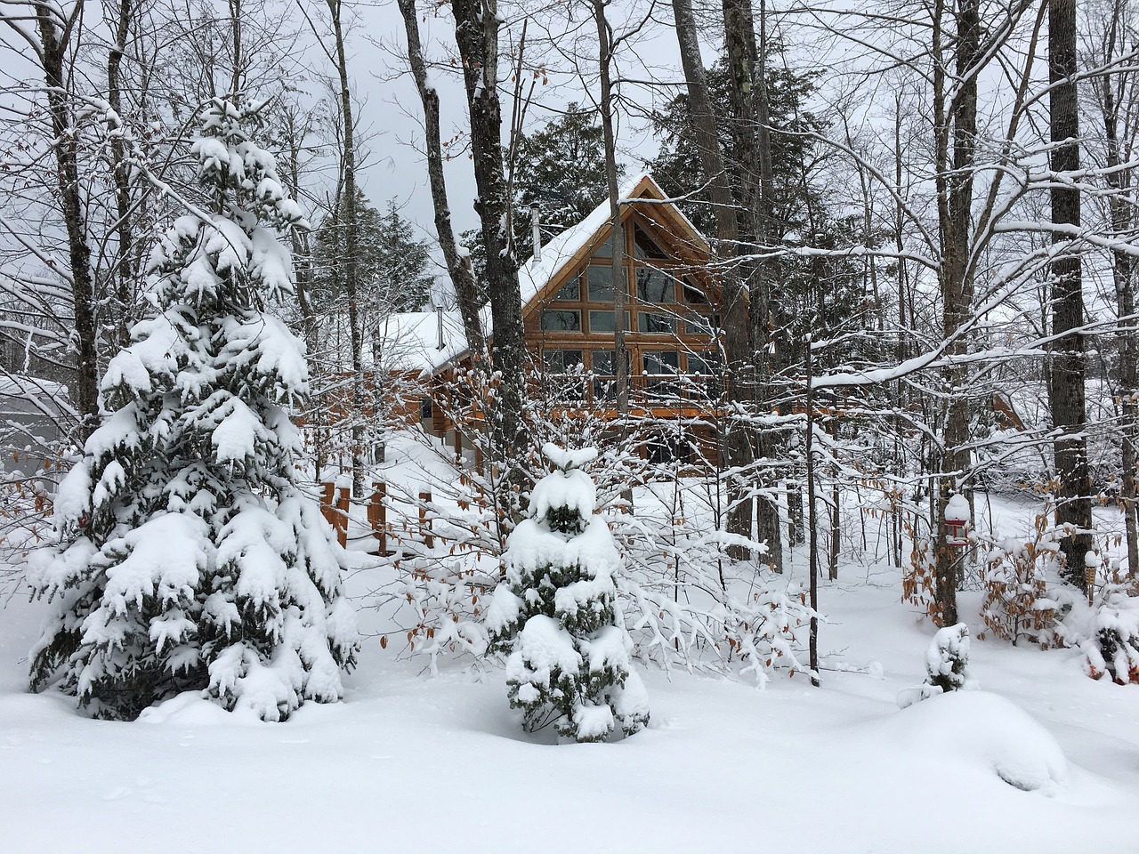 winter forest snow chalet free photo