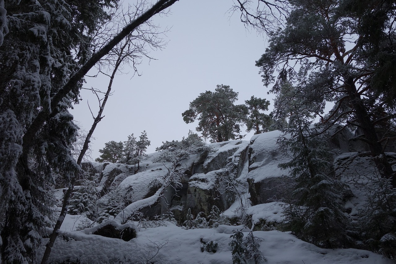 winter forest rock snow free photo