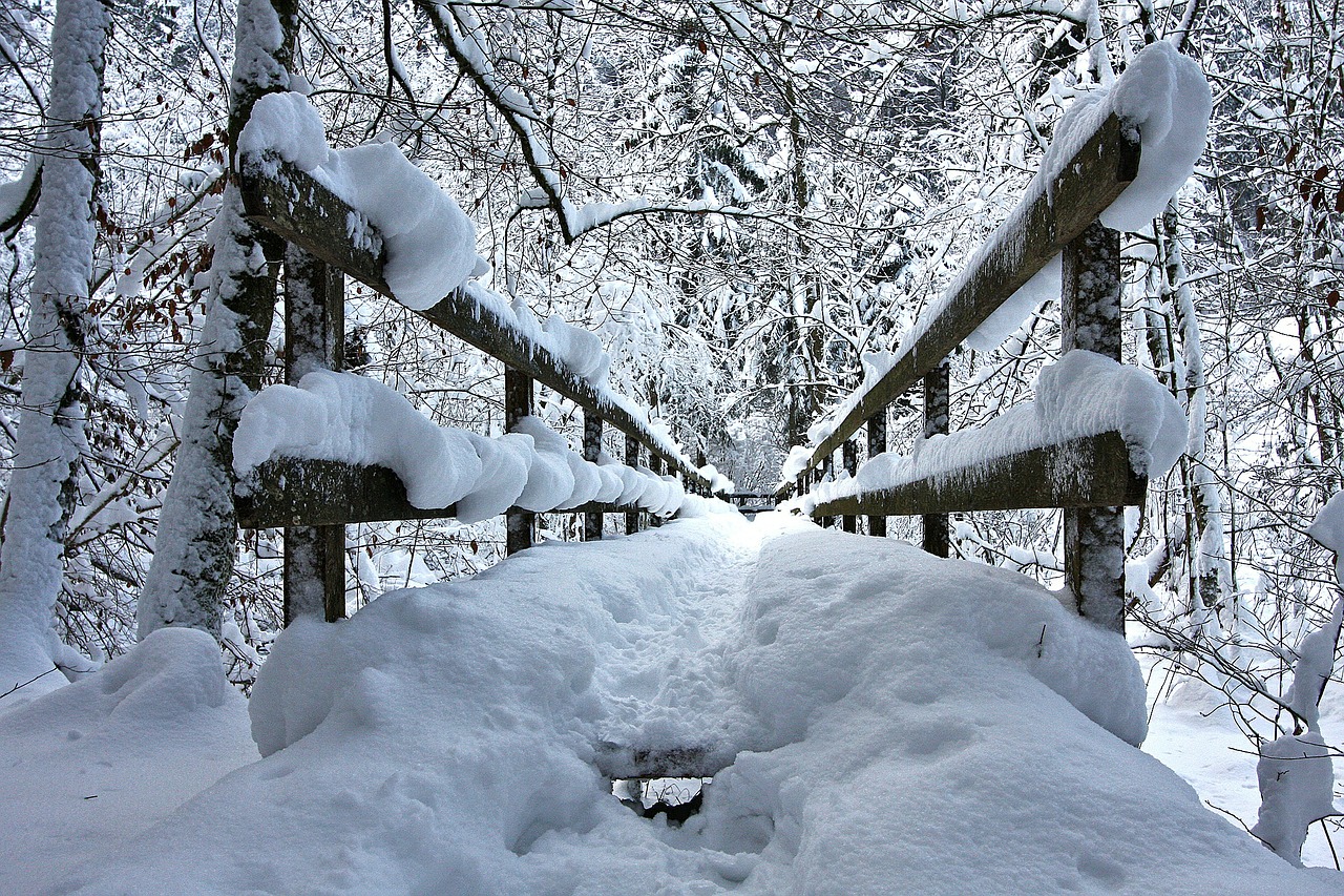 winter forest snow bridge free photo