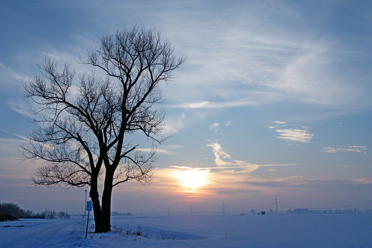 winter impressions wintry snow free photo