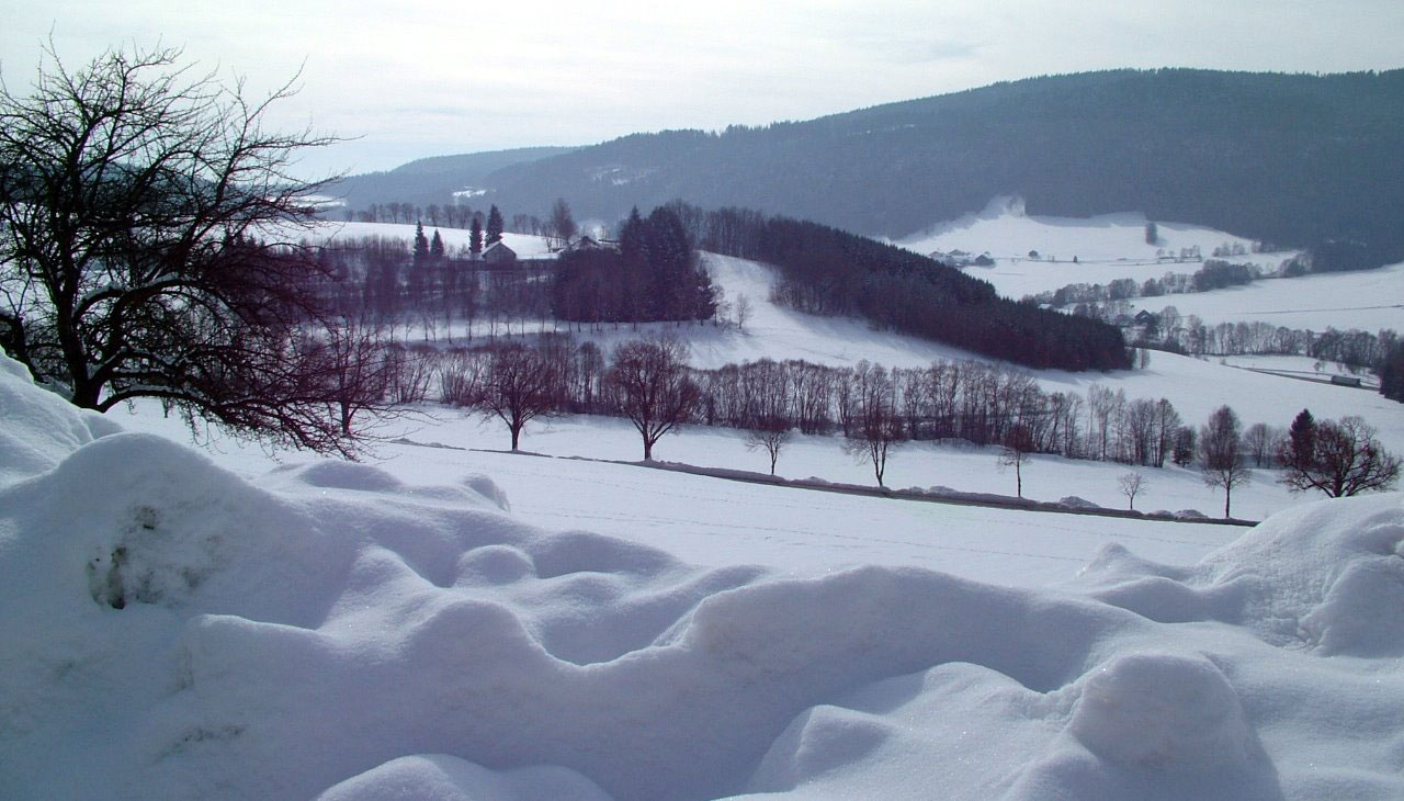 seasons winter bavaria free photo