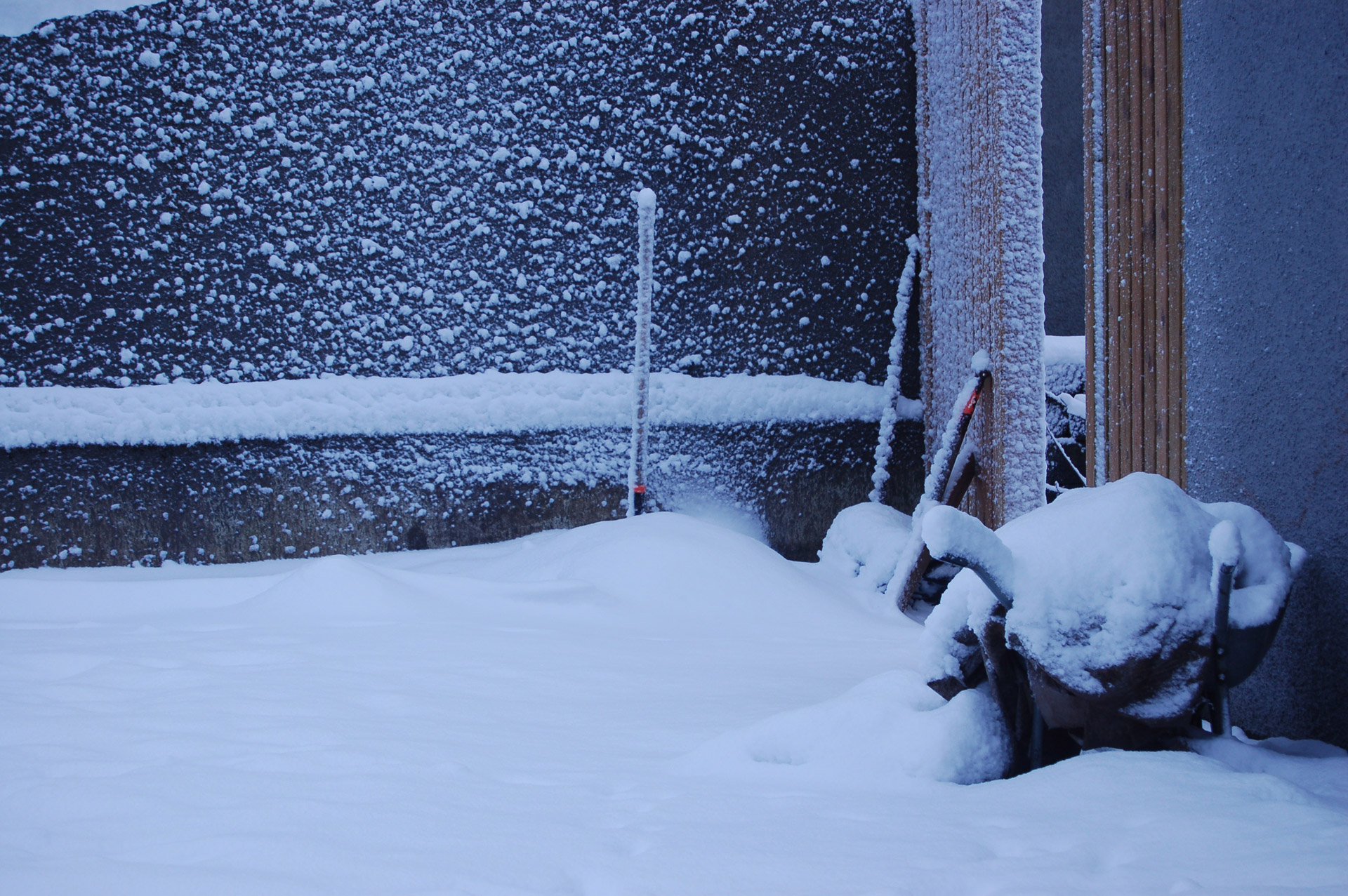 snow winter winter in the back yard free photo