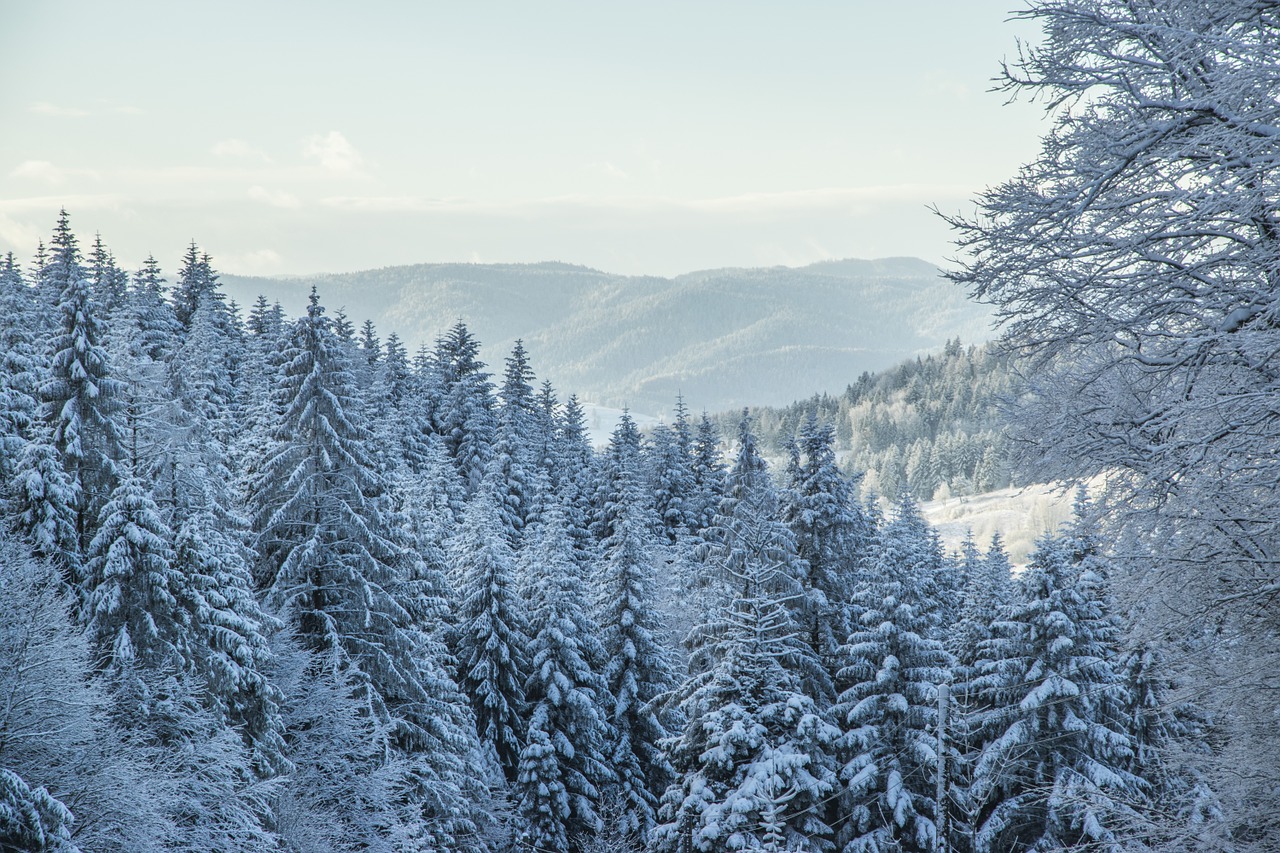 winter in the mountains beskids krynica free photo