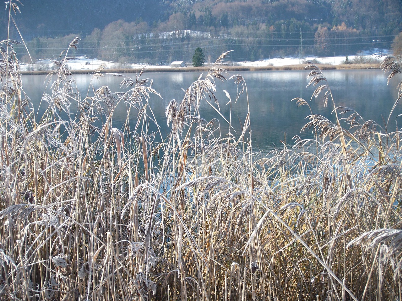 winter lake wintry frozen free photo