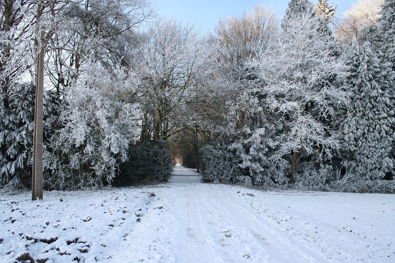 winter landscape christmas picture winter scene free photo