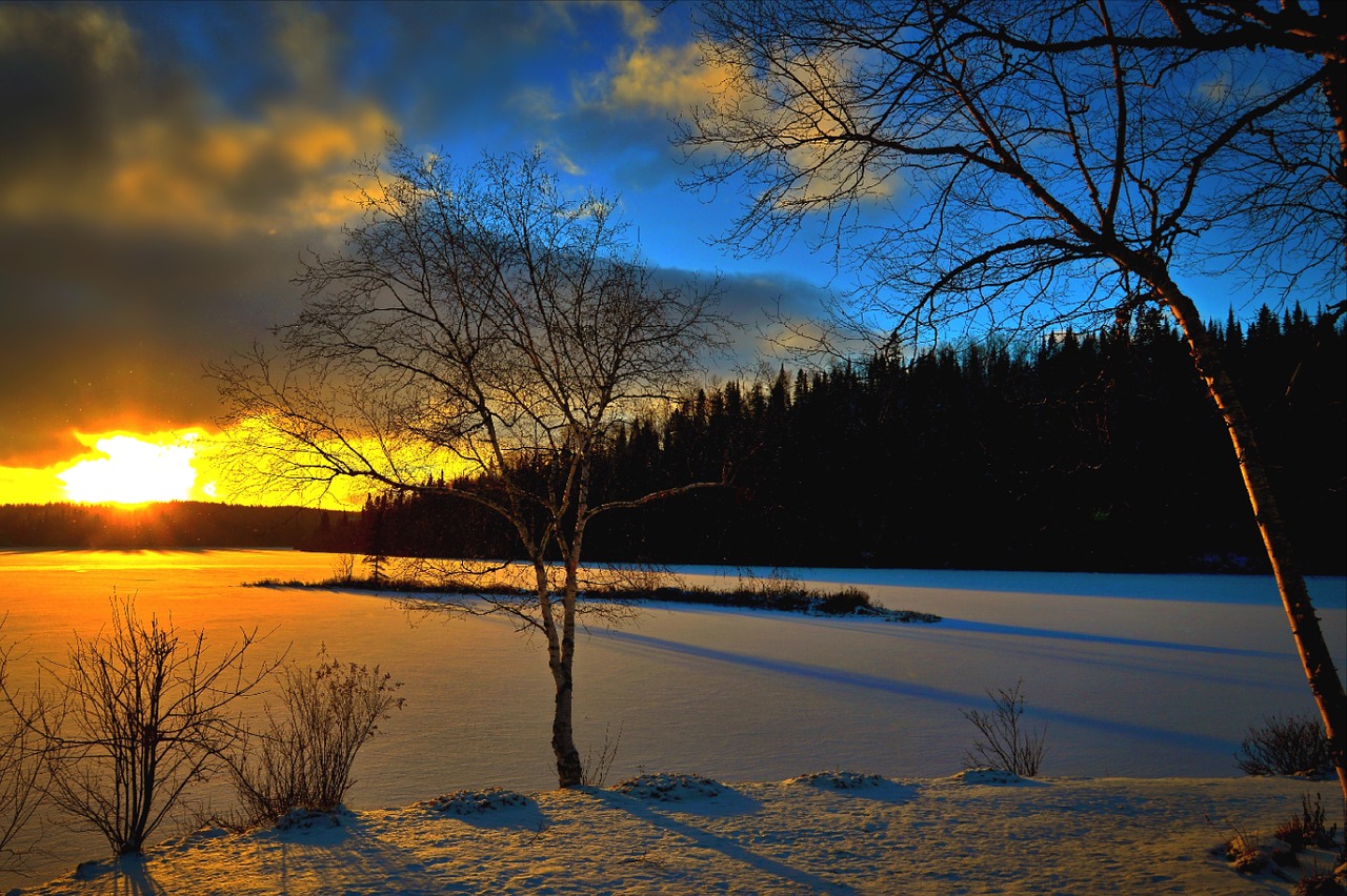 winter landscape sunset trees free photo