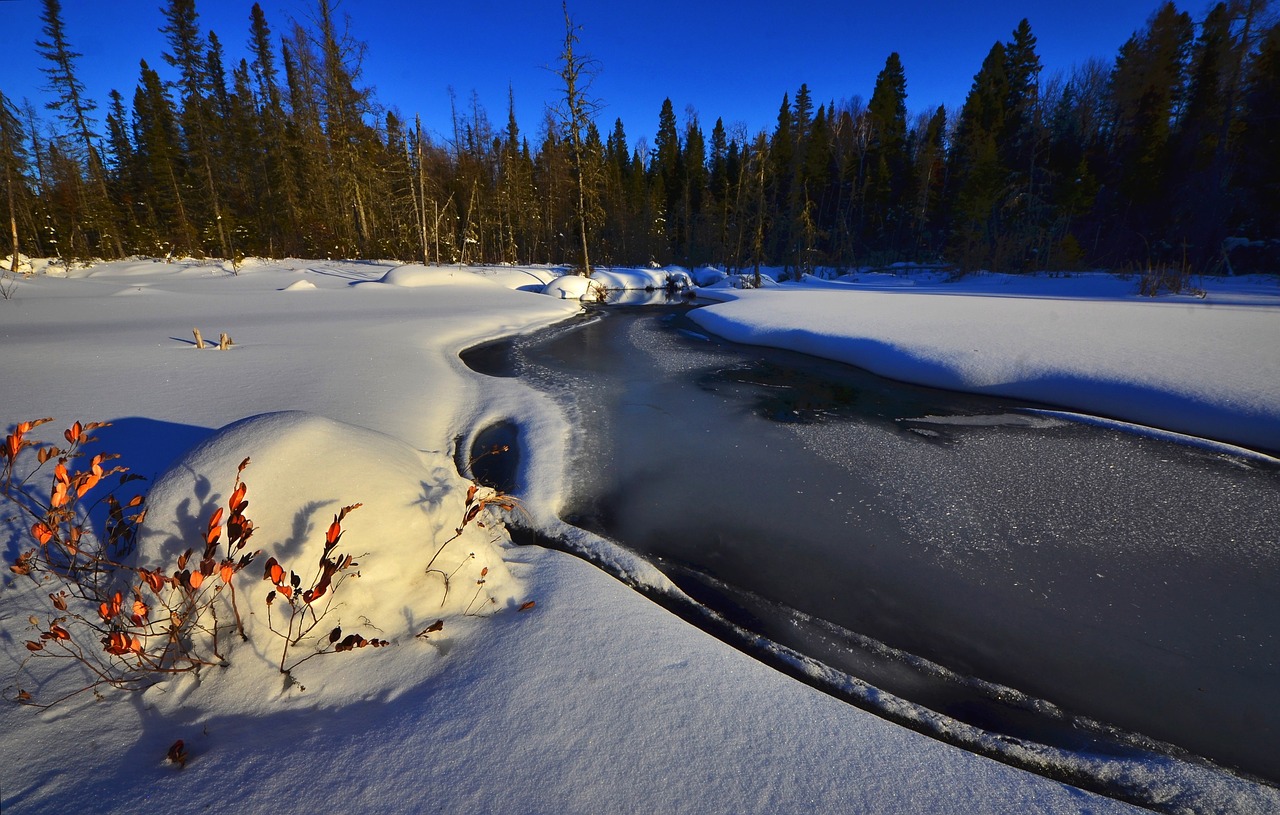 winter landscape snow winter free photo