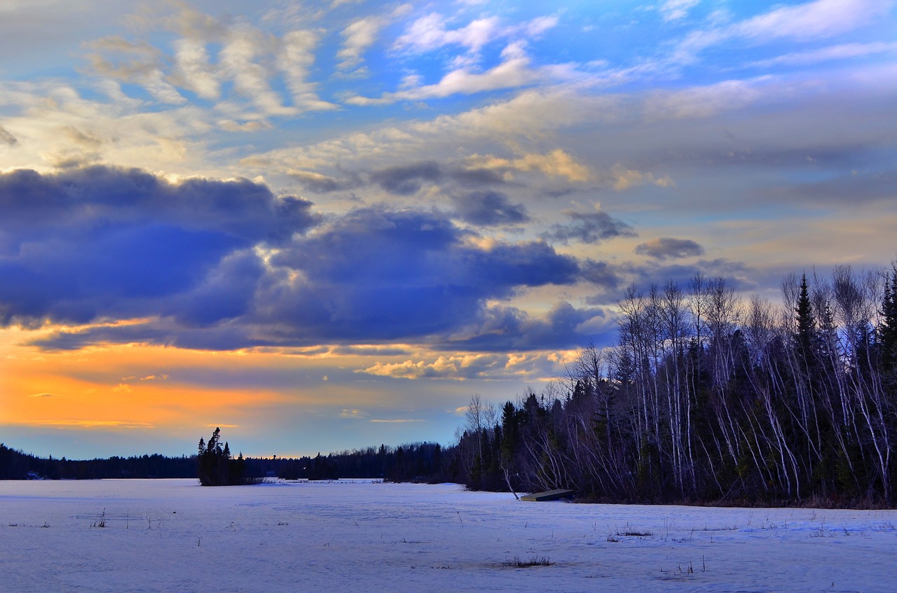 winter landscape nature winter free photo