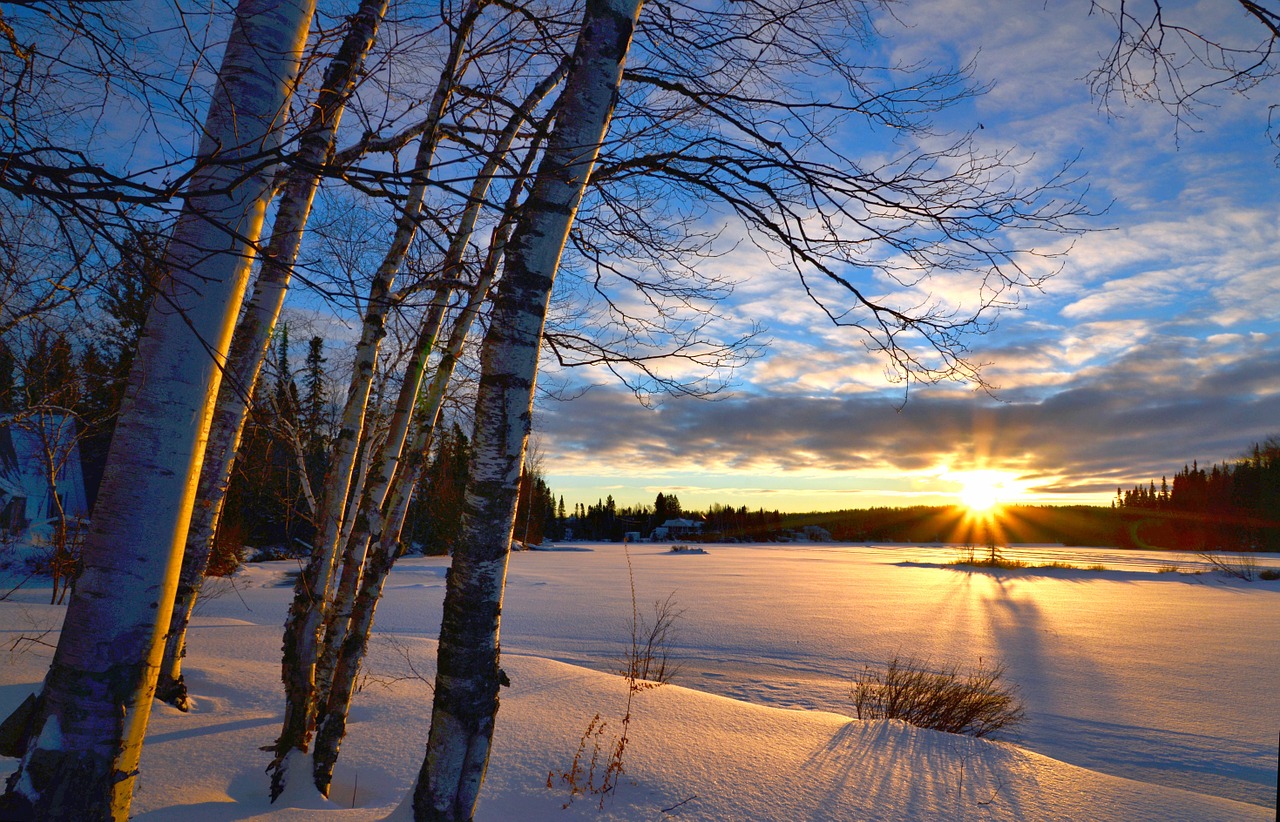 winter landscape sunset winter free photo