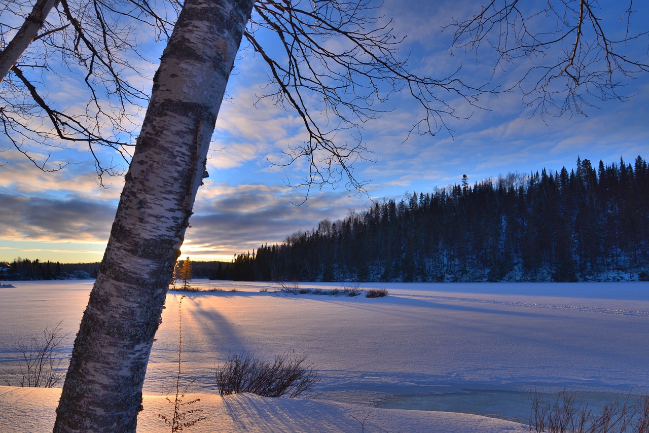 winter landscape sunset winter free photo