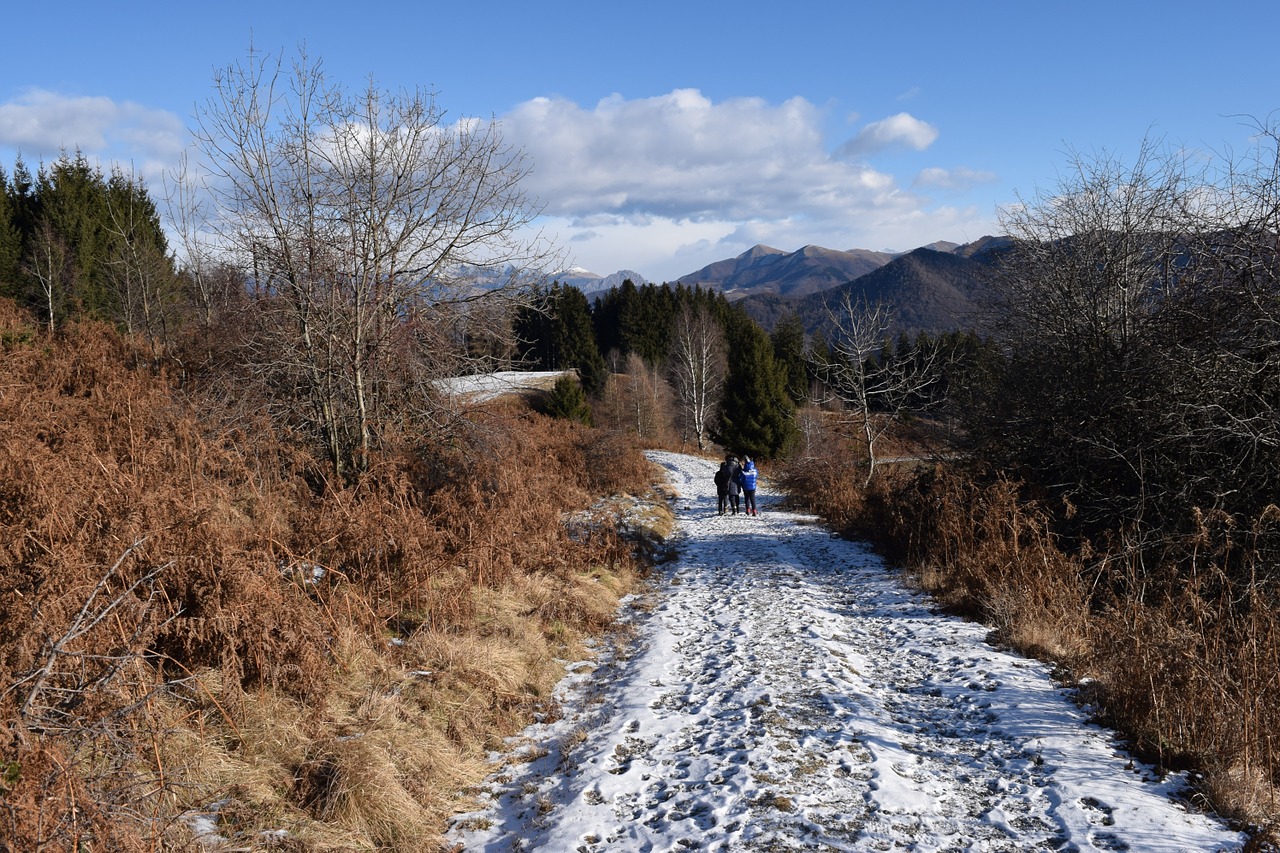 winter landscape landscape mountain free photo