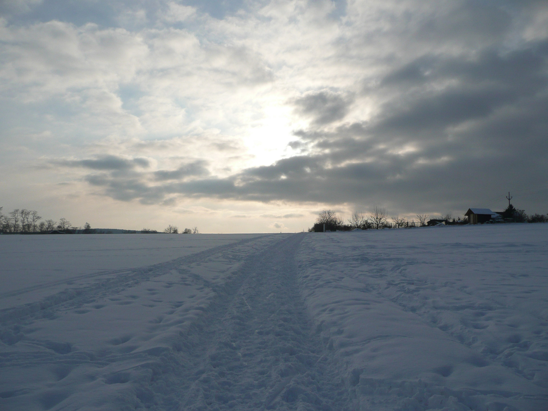 winter landscape nature free photo