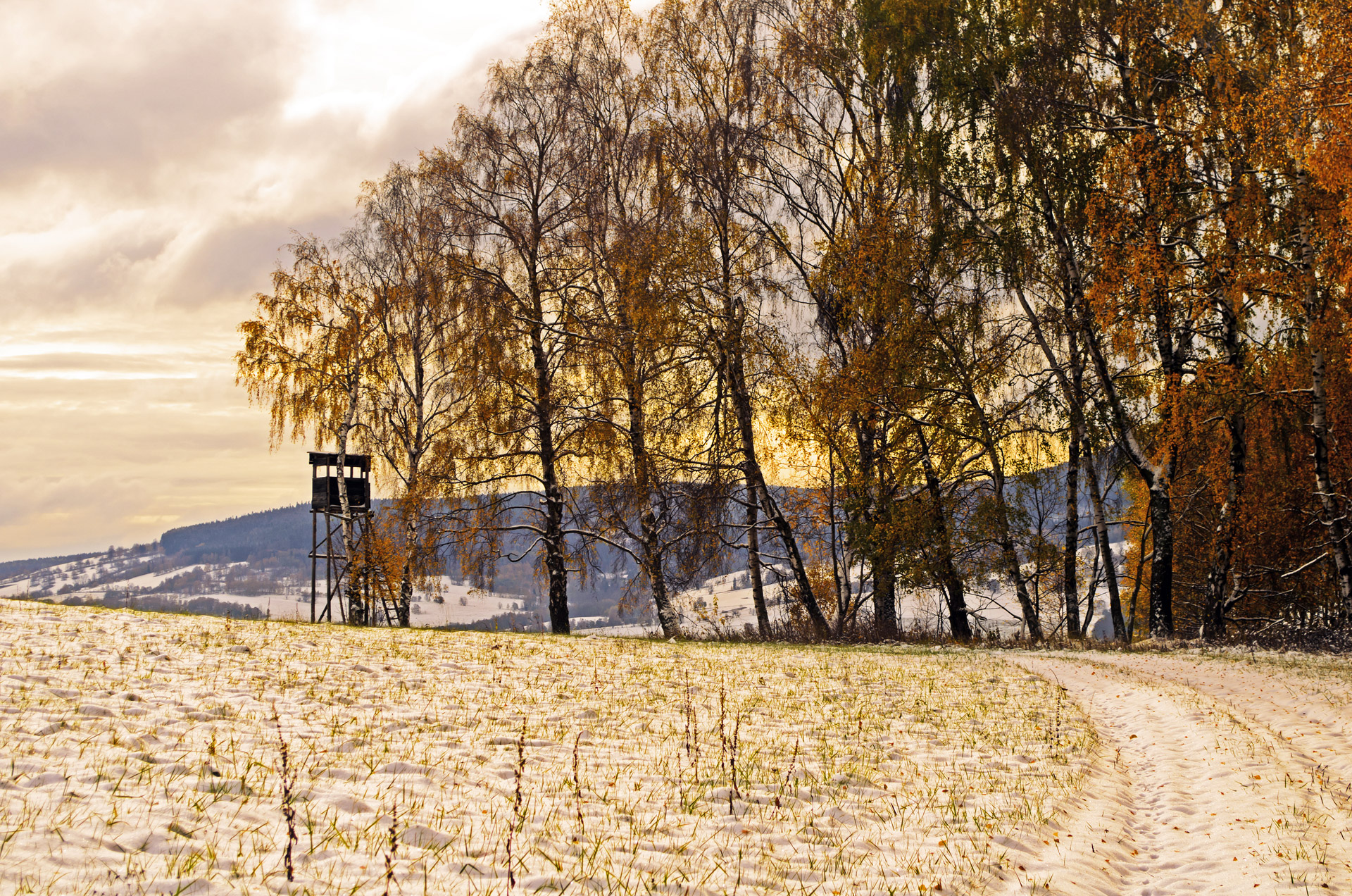 winter season snow landscape free photo