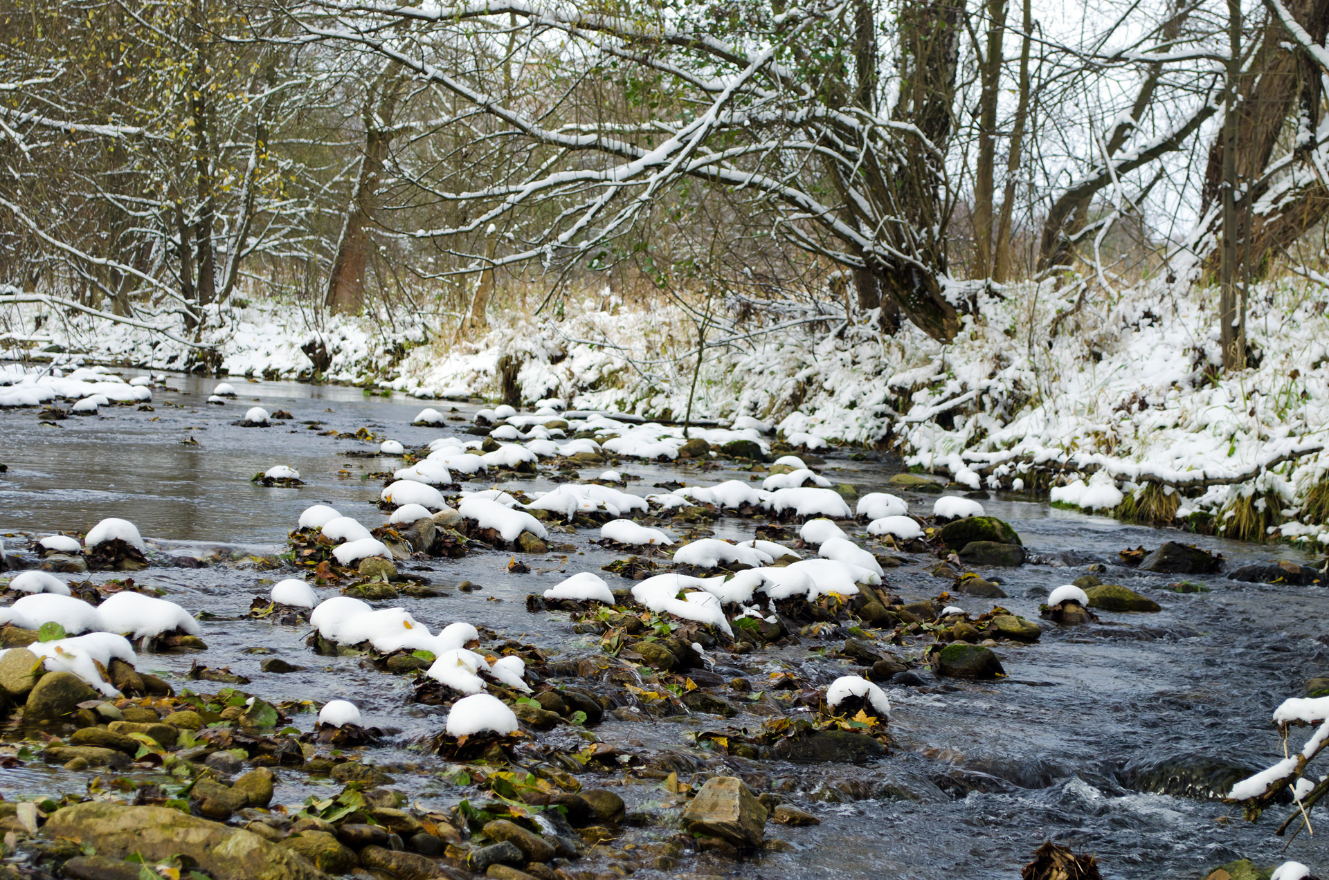 winter season snow landscape free photo