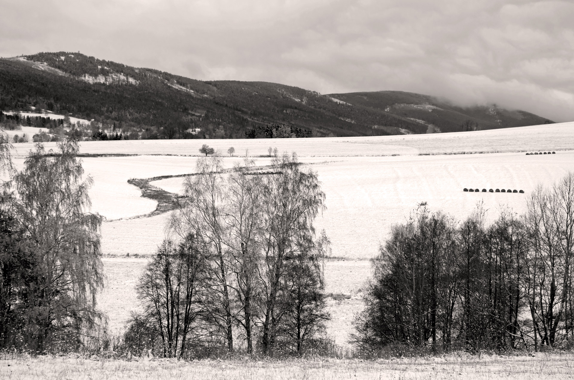 winter season snow landscape free photo