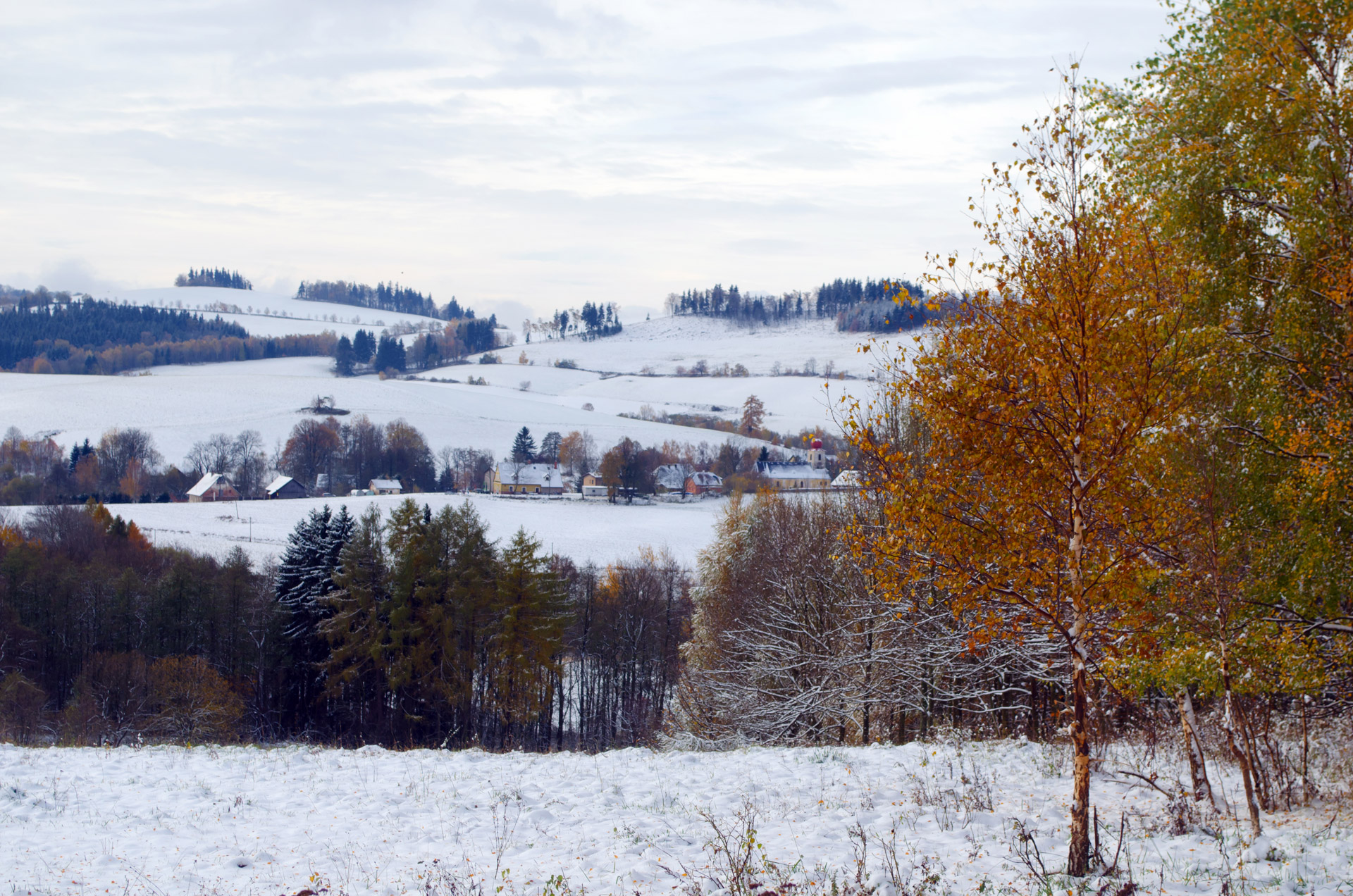 winter landscape nature free photo