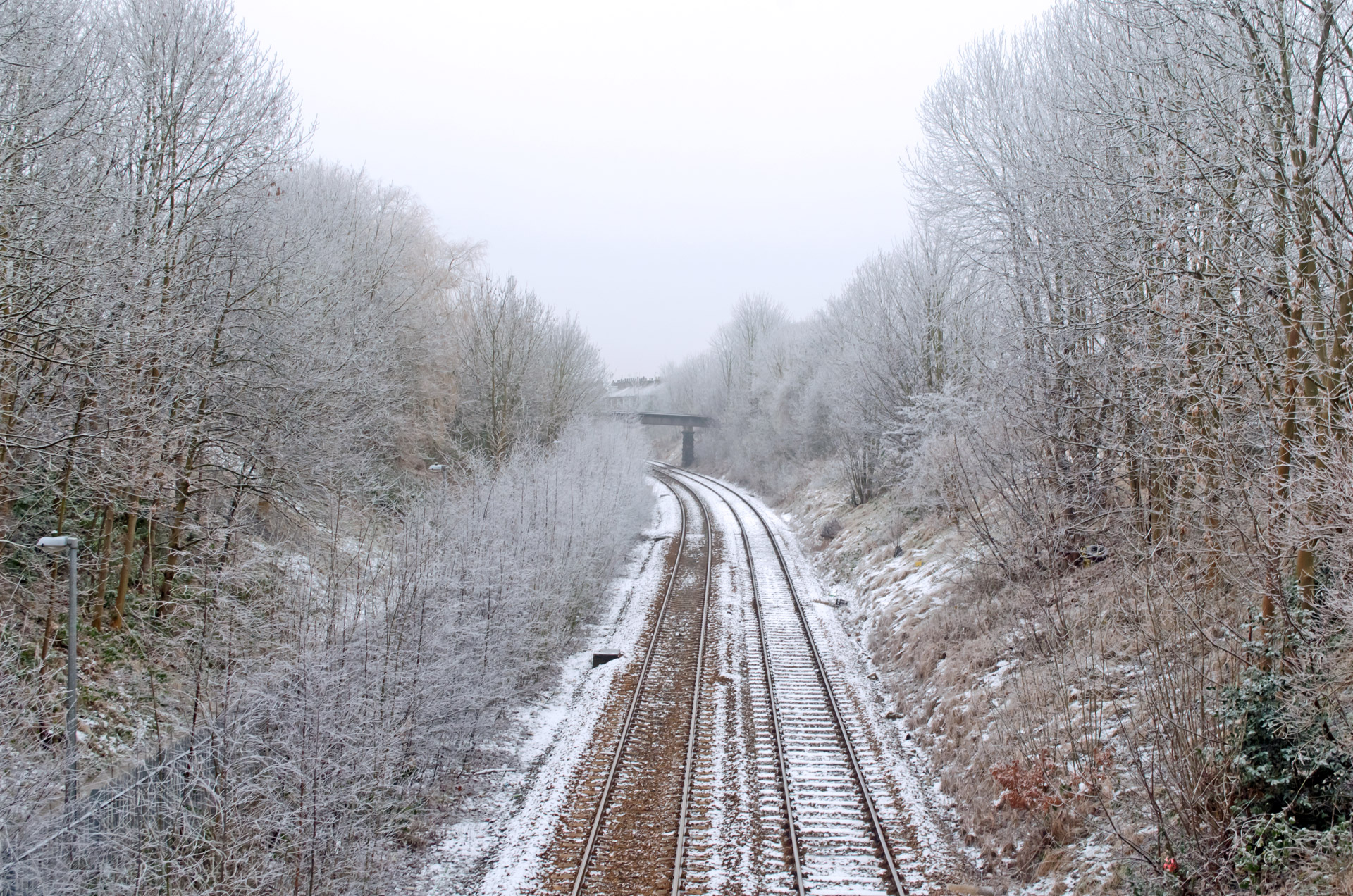 winter frost landscape free photo